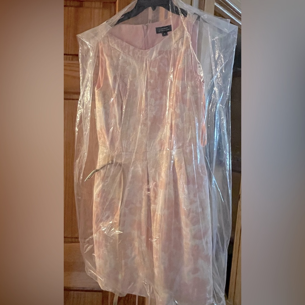 Pink dress with gold detailings perfect for a elegant party!!!